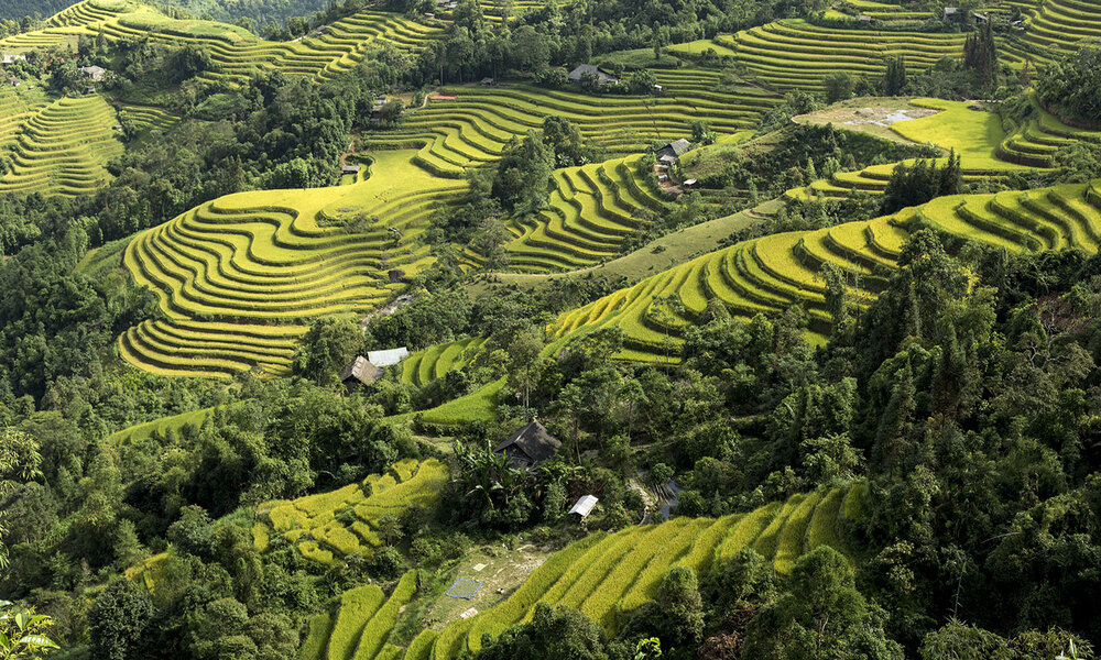 Splendor of Vietnam Tour 14 days